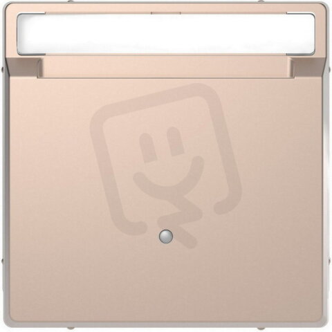 Kryt Merten D-Life pro spínač hotelových karet Brushed Gold MTN3854-6051