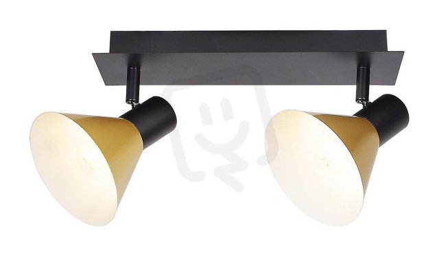 Alvaro E14 2x 40W IP20 matná černá RABALUX 3158