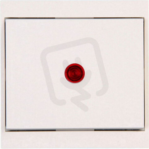 621667086 Control switch (off and change