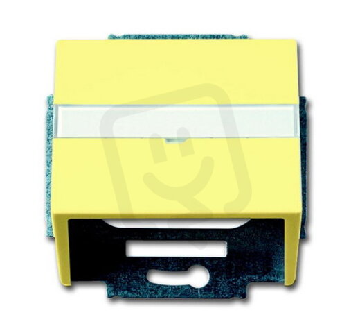 ABB 1724-0-4289 Kryt zásuvky komunikační, s popisovým polem (pro nosnou masku)