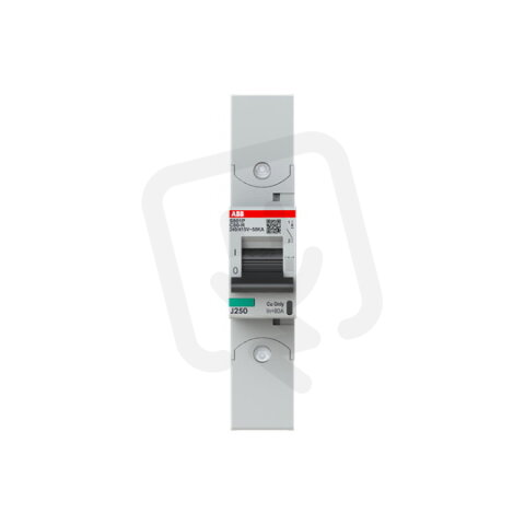 S801P-C80-R; 1 fázový jistič; jmenovitý