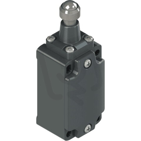 Koncový spínač s čepem a kuličkou - PG 1