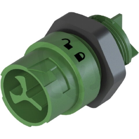 vidlice vestavná RST16I3/2S S1 M02 GN, 2-pólová, zelená WIELAND 46.032.5056.7