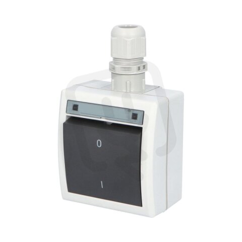 ATLAS 2K IP65 Spínač dvoupólový č.2 s vývodkou M20, na povrch, šedý 19185-07