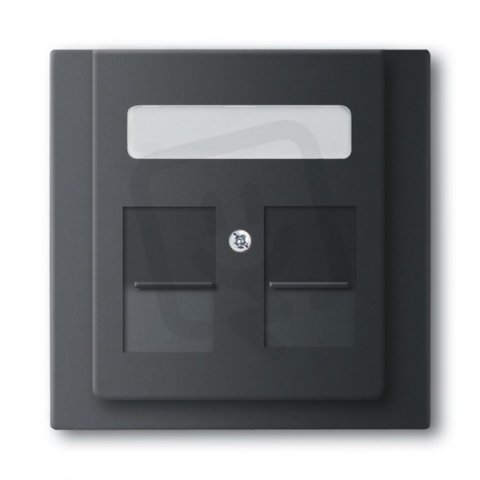 ABB 1753-0-0160 Kryt zásuvky komunikační, s krycími clonkami (pro 2 zásuvky)