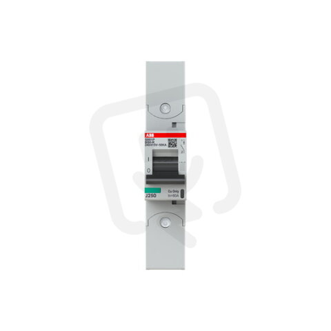S801P-B80-R; 1 fázový jistič; jmenovitý