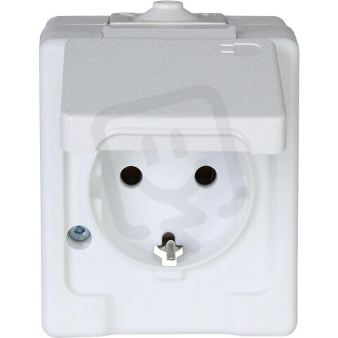 100602003 Earthed socket outlet with hin