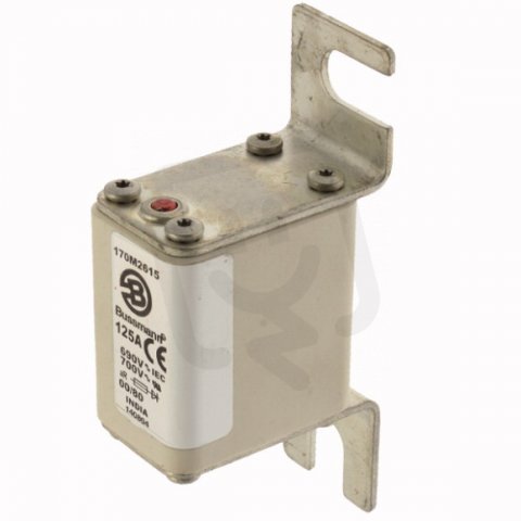 Ultra rychlá pojistka Eaton 170M2615 690V, 125A