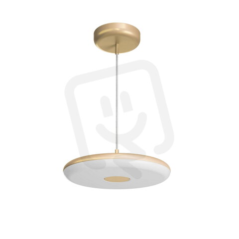 LED-1L641E950ZST/FP91/L100 GB 3K#
