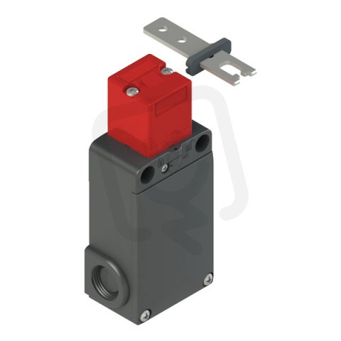 PIZZATO Bezpečnostní spínač (el. magn.) 24V, závit M20x1,5, s klíčem F