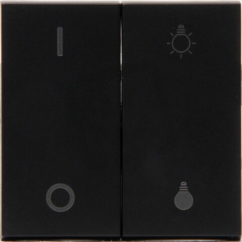 HK07 Double rocker with imprint for dimm