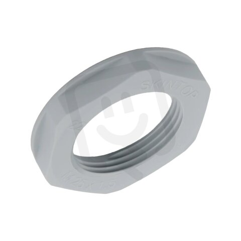 SKINTOP GMP-GL PG 42 RAL 7001 SGY