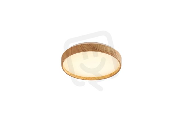 LEANA2 svítidlo buk LED 12W IP20 RABALUX 71143
