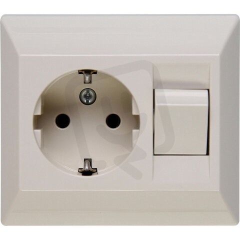 190301006 Earthed socket outlet with swi