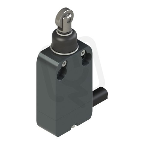 Koncový spínač s kabelem 2 m - standard PIZZATO NAB110BG-DN2