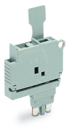 Pojistkový modul, se sponkou, pro pojistkovou vložku G 5x20 mm, šedá