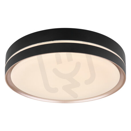 Stropní svítidlo MANNI černá LED 24W 230V 1100lm CCT 2700-6500K GLOBO 41759-24