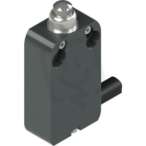 Koncový spínač s vyvedeným kabelem - Kov