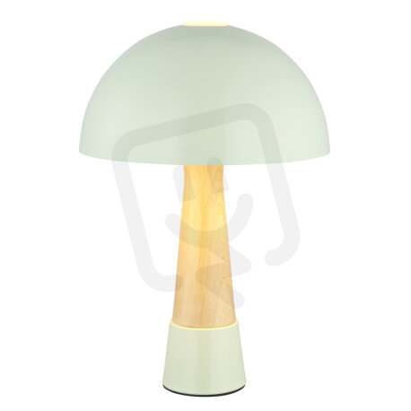 Stolní lampa PAULIN zelená 1x E27 ILLU,max. 40W 230V GLOBO 51570114