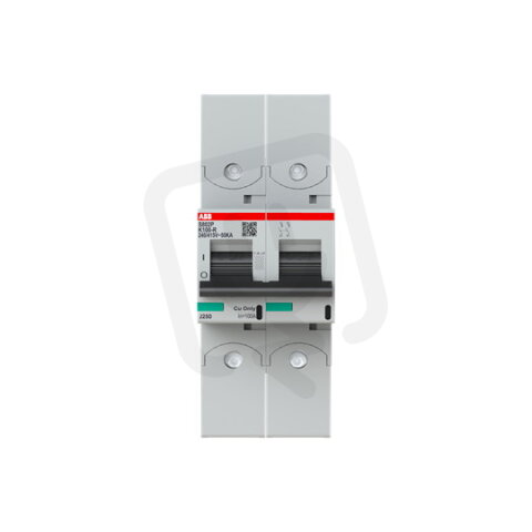 S802P-K100-R; 2 fázový jistič; jmenovitý