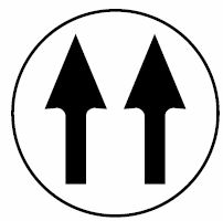 symbol 11 pro ovladače LADY RAVIOLI DLAS11