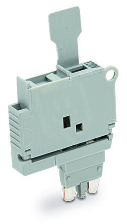 Pojistkový modul, se sponkou, pro pojistkovou vložku G 5x20 mm, šedá