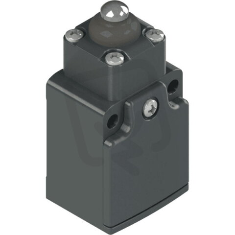 Koncový spínač s dlouhým čepem - PG 11;