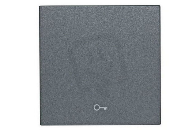 Kryt spínačů a ovladačů, symbol klíč, antracit SCHRACK EV112004--
