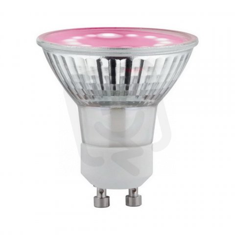 LED Plant GU10 3,5W 230V PAULMANN 28736