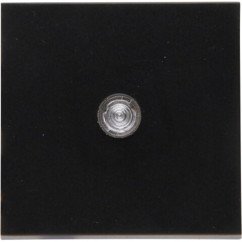 490062009 HK07 - Rocker pad with lens (c