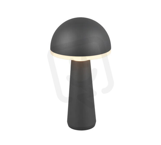 FUNGO incl.1x2W LED/200Lm/3000+4000+5000
