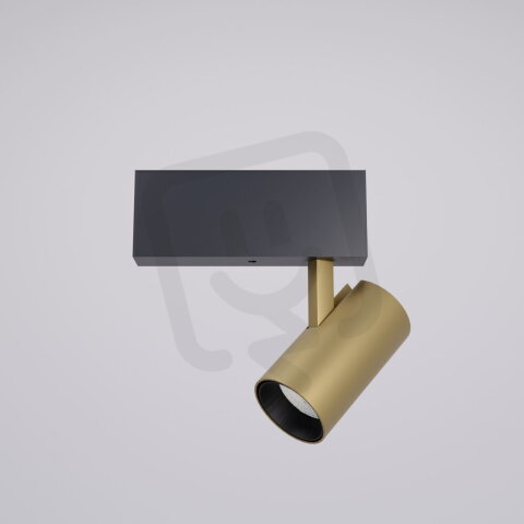 XTRIM M ADJ. DALI MINI PROJECTOR with AR