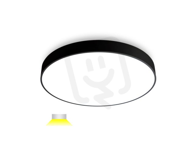 AKCE - RINGO 60 P, B STROPNÍ ČERNÉ DALI/PUSH LED2 1110533D