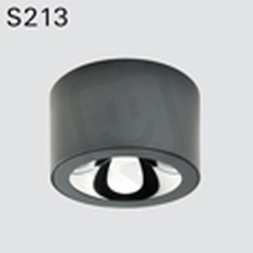 Stropní svítidlo DEOS stropní LED COB 20W 3000K, reflektor HU,
