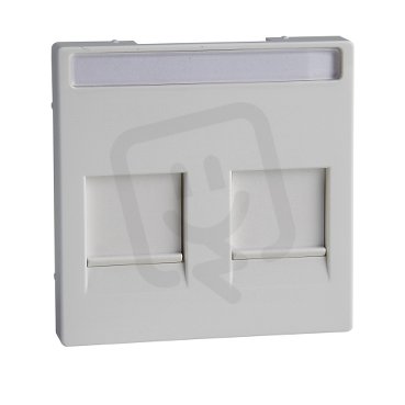 Merten Centrální deska datové zásuvky 2xRJ45 Active SCHNEIDER MTN4564-0325