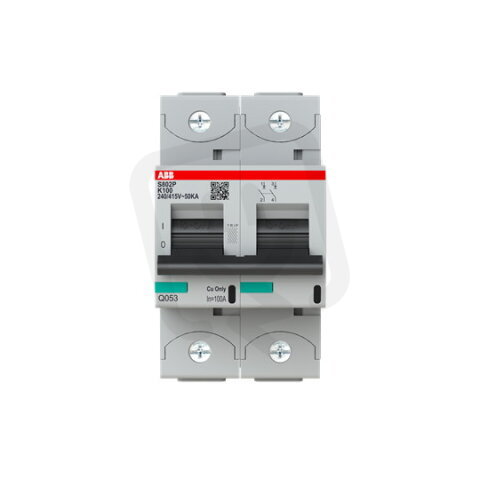 S802P-K100; 2 fázový jistič; jmenovitý p