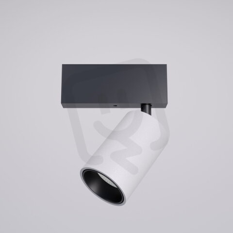 XTRIM M ADJ. DALI MINI PROJECTOR 36W 48V