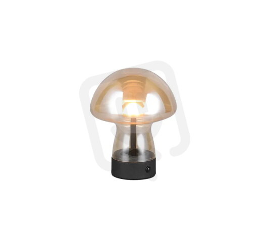 Svítidlo DOOLEY incl.1x1,5W LED/140Lm/30