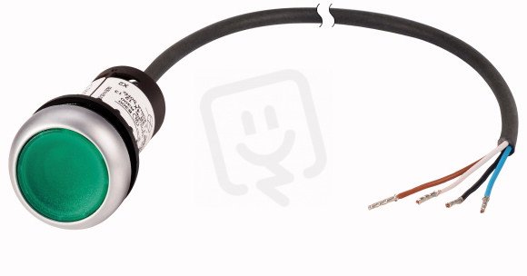 Eaton C22-DL-G-K10-24-P65 Prosvětlené tlačítko, bez aret, 24V AC/DC, zelená, 1Z