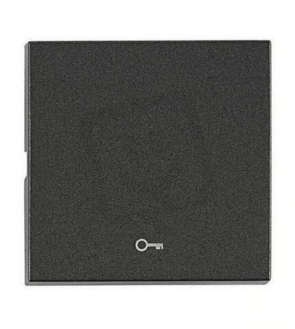 Kryt spínačů a ovladačů, symbol klíč, antracit SCHRACK EV112204--