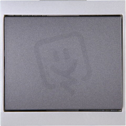 621315080 Pushbutton switch without illu