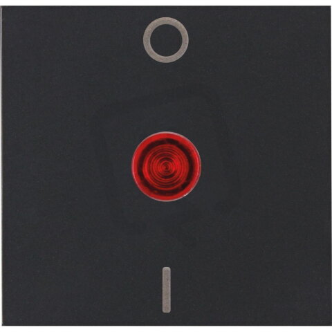 491992008 HK07 - Rocker pad for 2-pole s