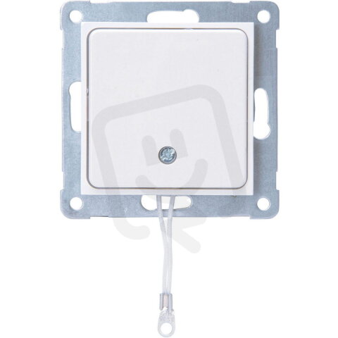 295813008 HK07 - Pull switch with cover,