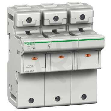 Schneider MGN15717 SBI 3P 22x58 500/660V