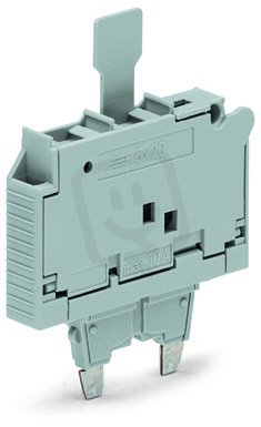 Pojistkový modul, Se sponkou, Pro pojistkovou vložku G 5 × 20 mm, Šedá