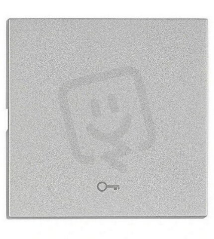Kryt spínačů a ovladačů, symbol klíč, stříbrný SCHRACK EV122204--