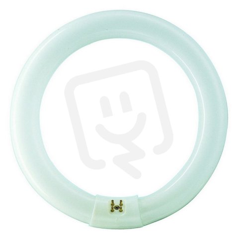 Kruhová zářivka PHILIPS MASTER TL-E Circular Super 80 22W/865 1CT
