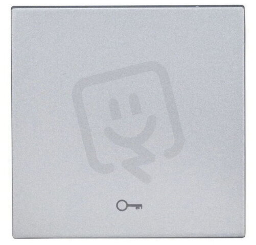 Kryt spínačů a ovladačů, symbol klíč, stříbrný SCHRACK EV122004--