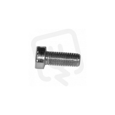ZX260P10 šroub s válcovou hlavou M5x10 (10ks) ABB 2CPX062517R9999