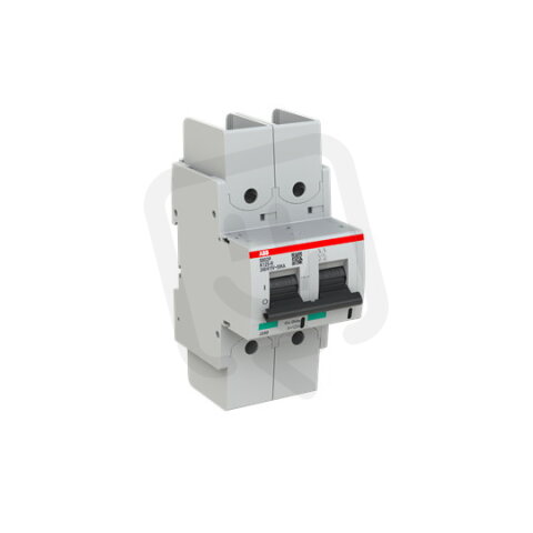 S802P-K125-R; 2 fázový jistič; jmenovitý